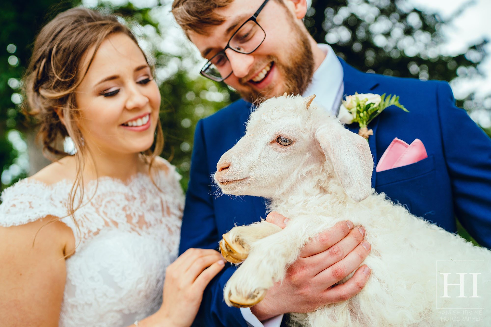hornington manor sheep wedding photos hamish irvine