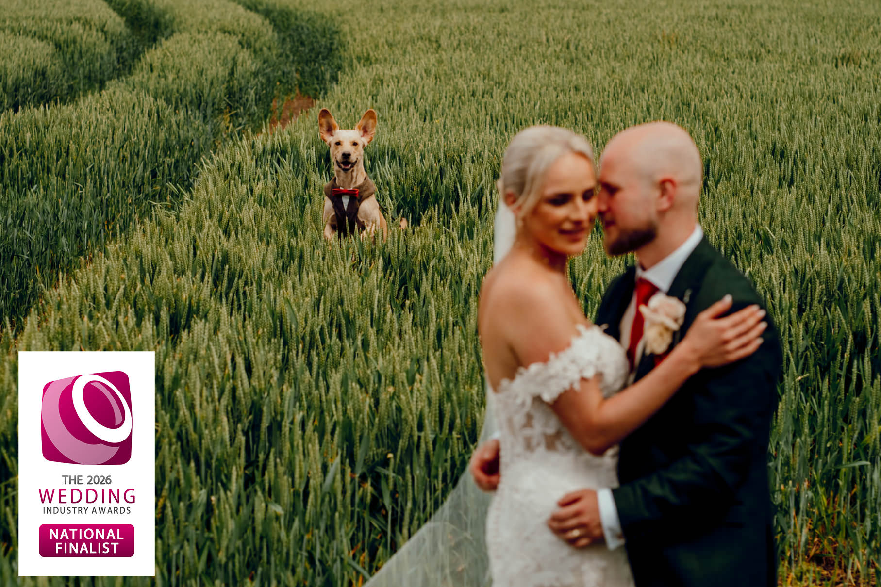 The wedding industry awards 2026 hamish irvine best wedding photographer Yorkshire North East 