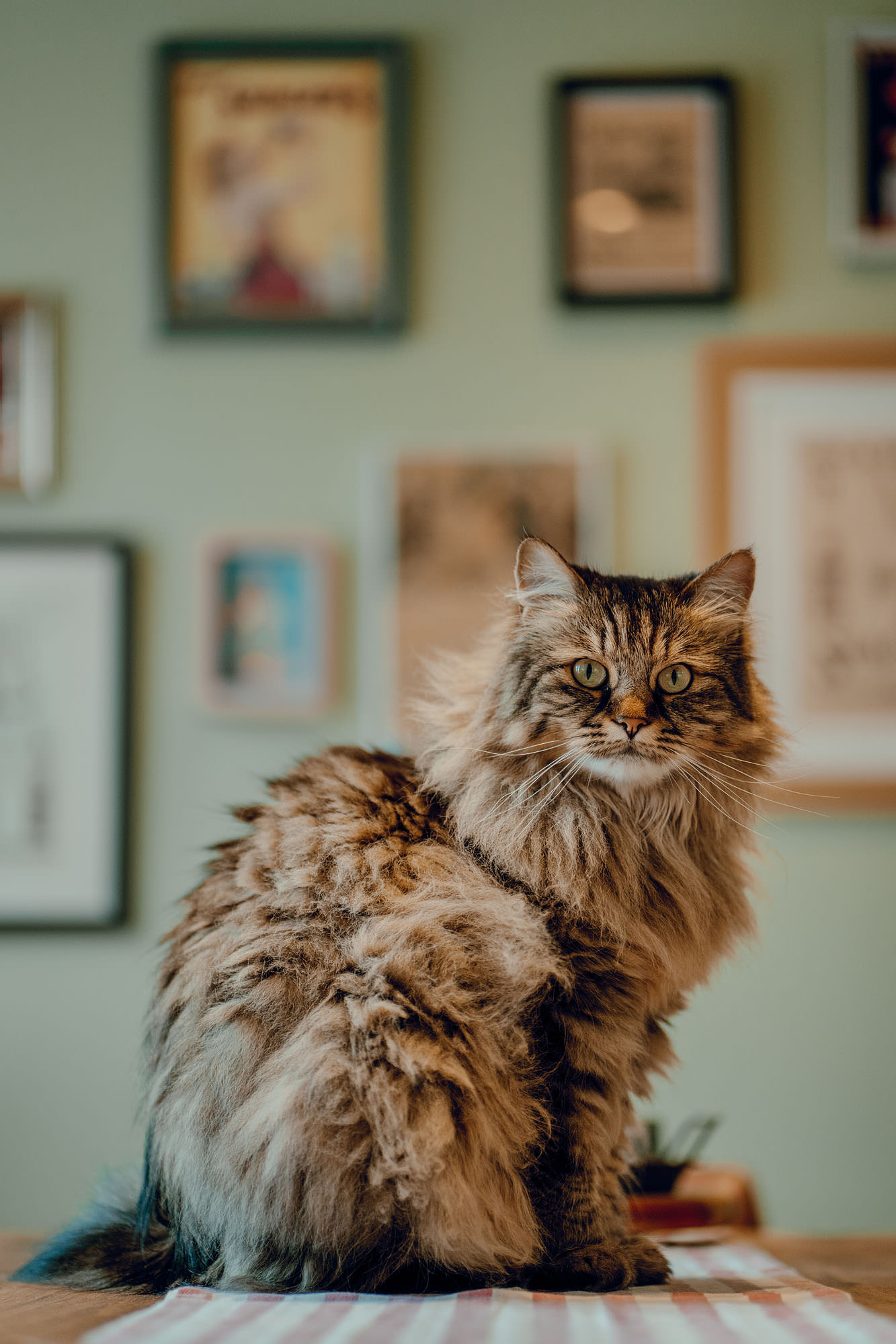 Hyde Park Picture House same sex engagement shoot hamish irvine 