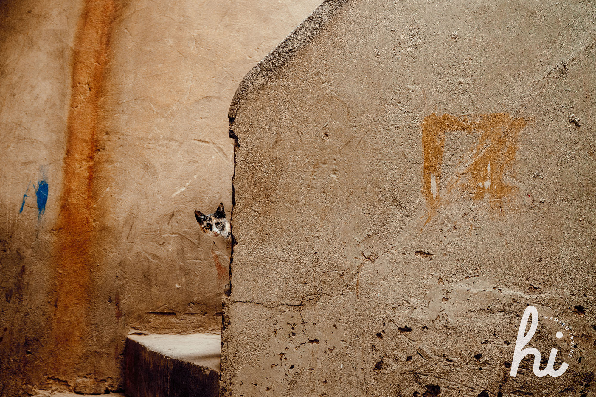 Lahore old city street photography by hamish irvine 