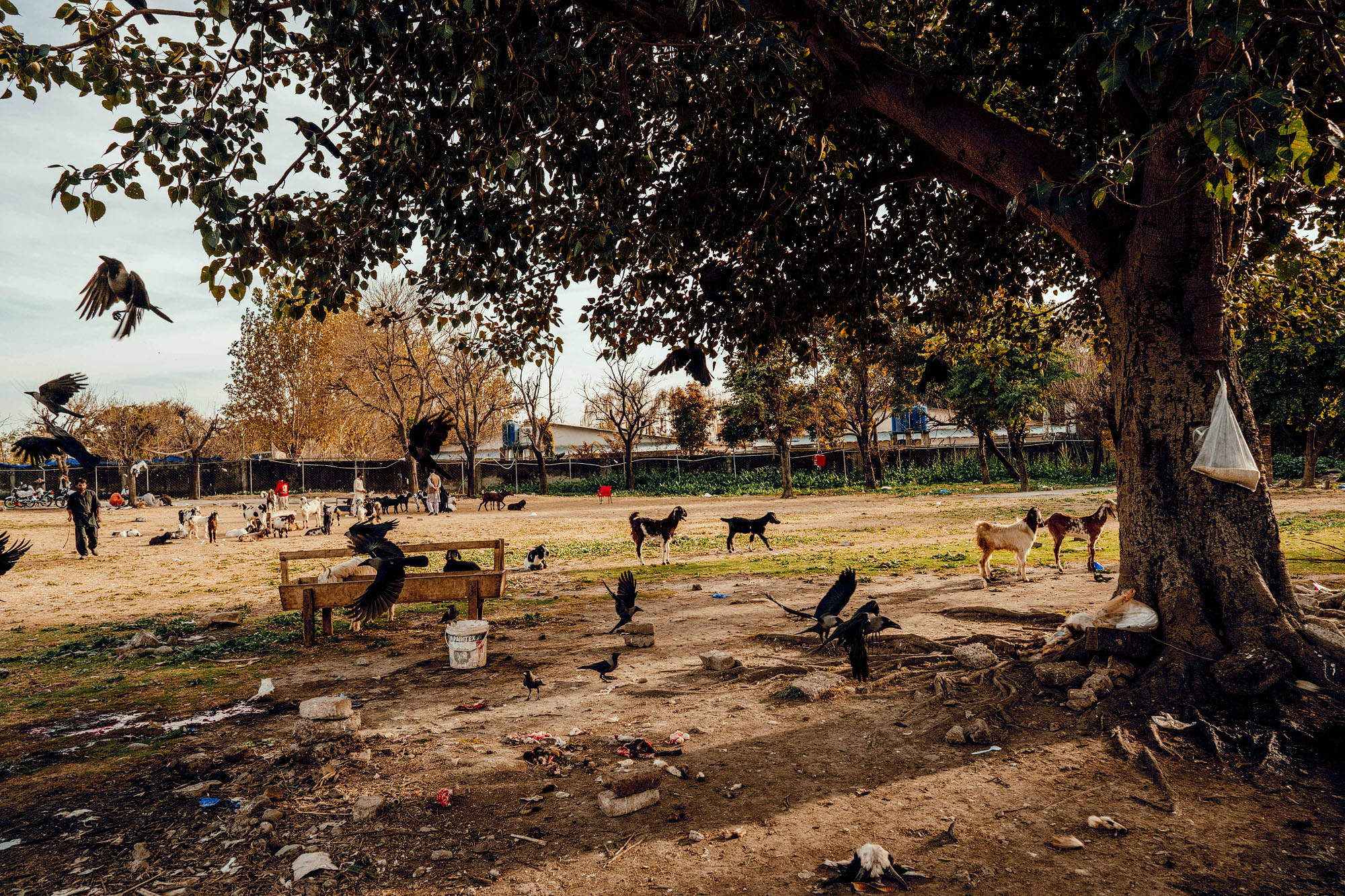 Street photography during Ramadan Hamish Irvine
